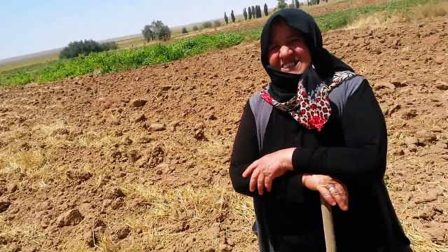 Keseklenme Nasıl Giderilir önlenir Aksaray Acıpınar Köyü Ayşe Çelebi Kesek Kırma Makinası