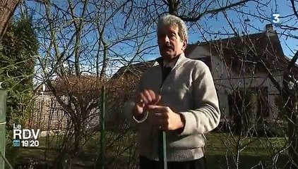 Nuisances aériennes : un combat qui dure depuis 30 ans