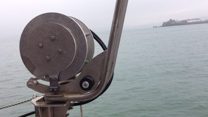 À bord de l'Augustine, le bateau du Parc naturel marin d'Iroise