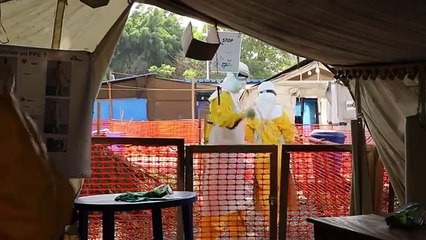 Posible vacuna contra el ébola