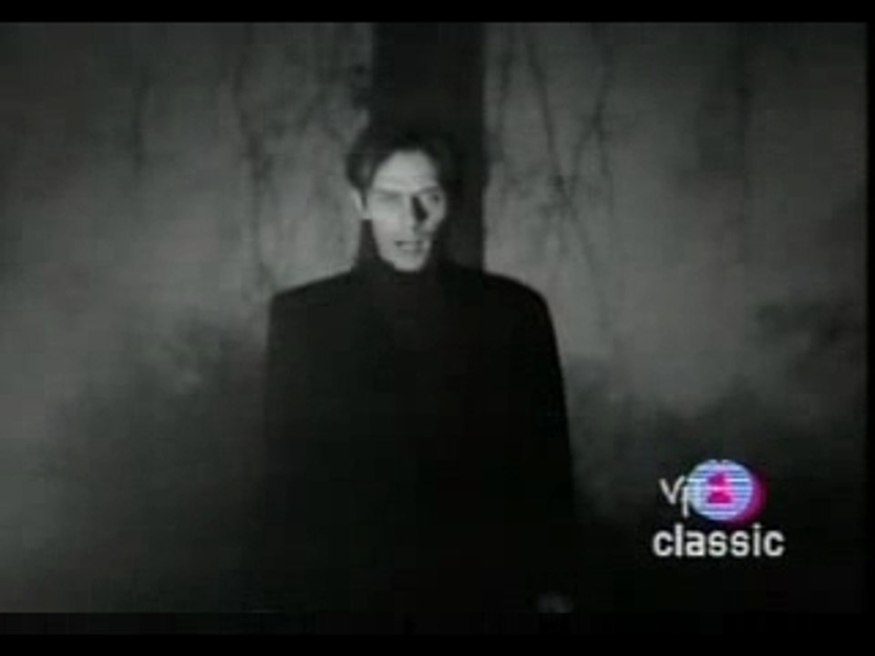 Peter Murphy - All  Night Long