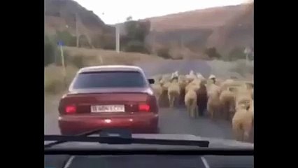 Hırsızlıkta Gelinen Son Nokta Yok Böyle Bir Şey