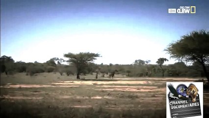 DOCUMENTAL DE LEONES en español