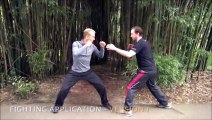 diferentes tipos de artes marciales