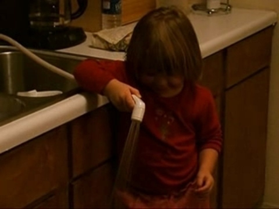 Avasdoingdishes