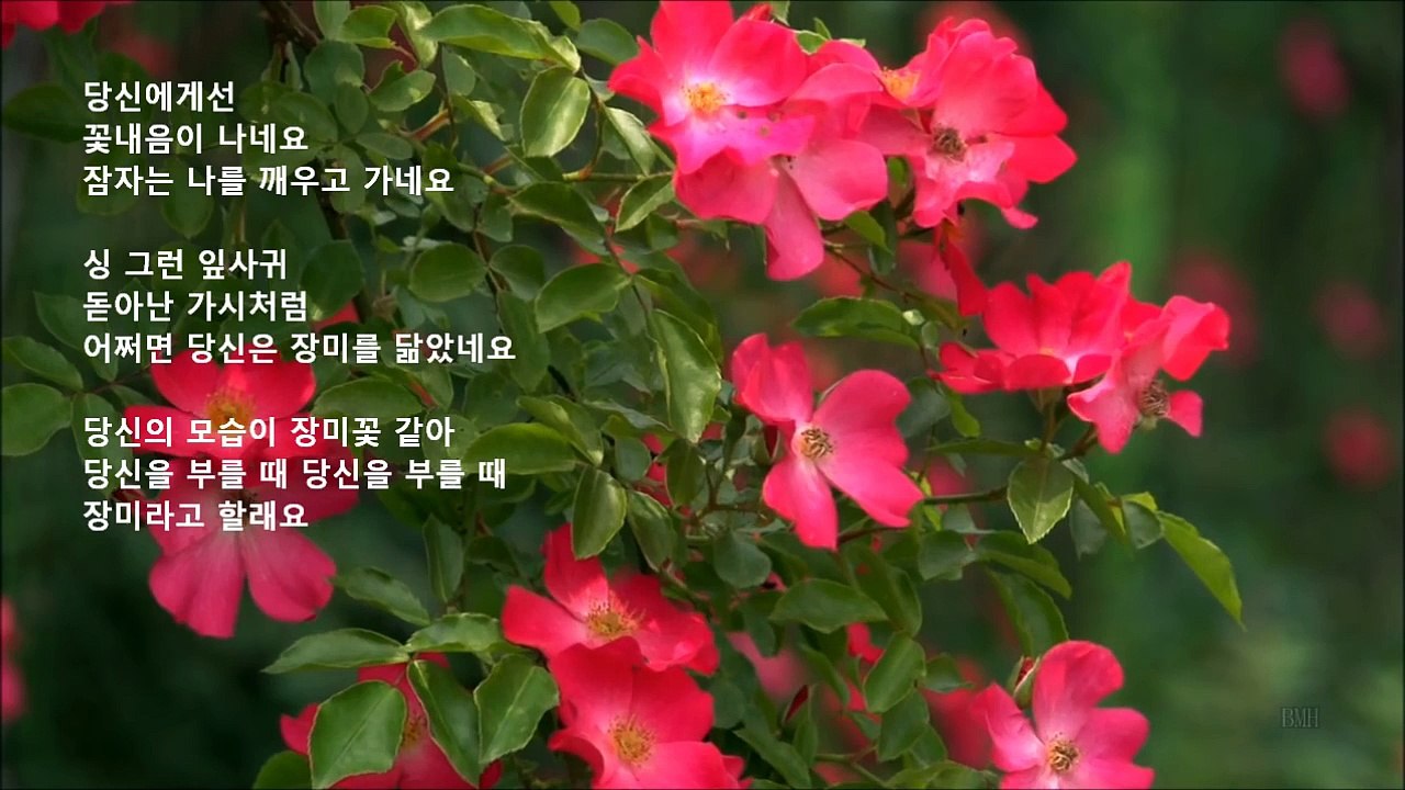[Best song 70s & 80s] 사월과 오월 - 장미(rose) - [남자의 향기 CD1]