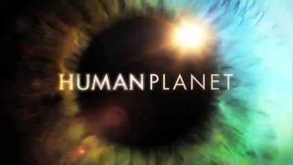 Human Planet | Arctic: Greenland sled dogs | Premieres Sunday, 20 March, ABC1