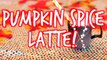 ♡DIY STARBUCKS DRINKS♡ FALL EDITION♡ PUMPKIN SPICE LATTE/FRAPPUCCINO & SALTED CARAMEL MOCH