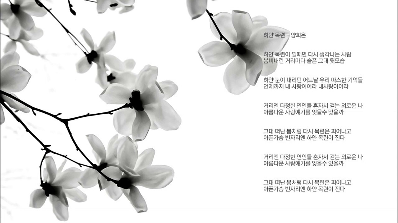 [AUDIO] 하얀 목련 - 양희은