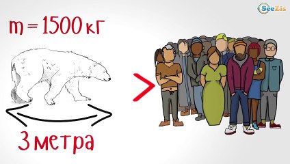 Best Developing Funny Animals Cartoon Bears for Children - Educational Video for Toddlers - Smarty!