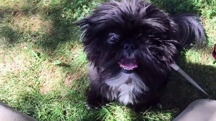 iPhone 6 Plus __ Camera Test 240FPS Slow  _by  MIX Maza