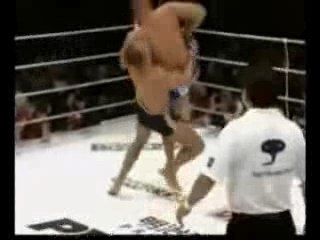 combat Art martiaux
