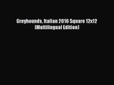 [PDF Download] Greyhounds Italian 2016 Square 12x12 (Multilingual Edition) [Read] Full Ebook