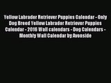 PDF Download - Yellow Labrador Retriever Puppies Calendar - Only Dog Breed Yellow Labrador
