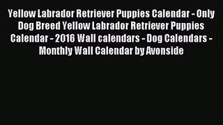 PDF Download - Yellow Labrador Retriever Puppies Calendar - Only Dog Breed Yellow Labrador