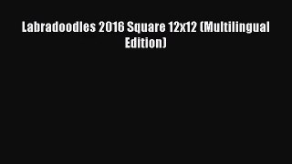 [PDF Download] Labradoodles 2016 Square 12x12 (Multilingual Edition) [Read] Full Ebook