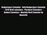 [PDF Download] Budgerigars Calendar - Only Budgerigars Calendar - 2016 Wall calendars - Parakeet