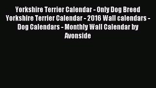 [PDF Download] Yorkshire Terrier Calendar - Only Dog Breed Yorkshire Terrier Calendar - 2016