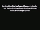 PDF Download - Cavalier King Charles Spaniel Puppies Calendar - 2016 Wall calendars - Dog Calendars