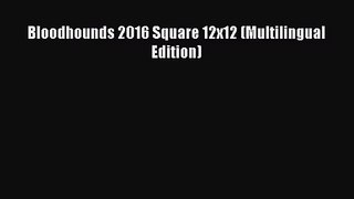 PDF Download - Bloodhounds 2016 Square 12x12 (Multilingual Edition) Read Full Ebook