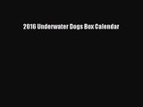 PDF Download - 2016 Underwater Dogs Box Calendar Download Online