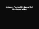 PDF Download - Chihuahua Puppies 2016 Square 12x12 (Multilingual Edition) Read Full Ebook