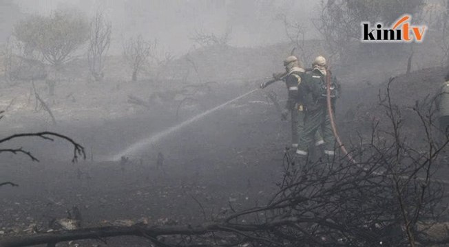 Kebakaran hutan di Afrika Selatan membimbangkan