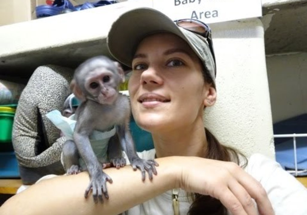Three-Week Old Baby Monkey Says Hello