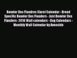PDF Download - Bouvier Des Flandres (Euro) Calendar - Breed Specific Bouvier Des Flanders -