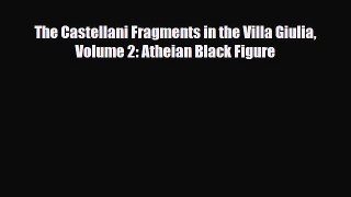 [PDF Download] The Castellani Fragments in the Villa Giulia Volume 2: Atheian Black Figure