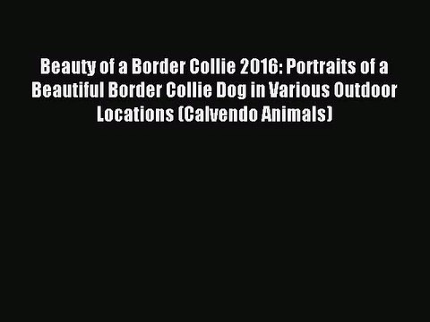 [PDF Download] Beauty of a Border Collie 2016: Portraits of a Beautiful Border Collie Dog in