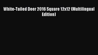 [PDF Download] White-Tailed Deer 2016 Square 12x12 (Multilingual Edition) [Read] Full Ebook