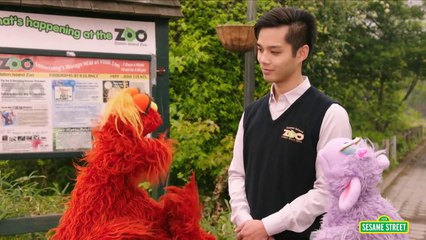 Sesame Street: Murray Learns About Birds