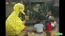 Sesame Street: Guess that Animal with Big Bird
