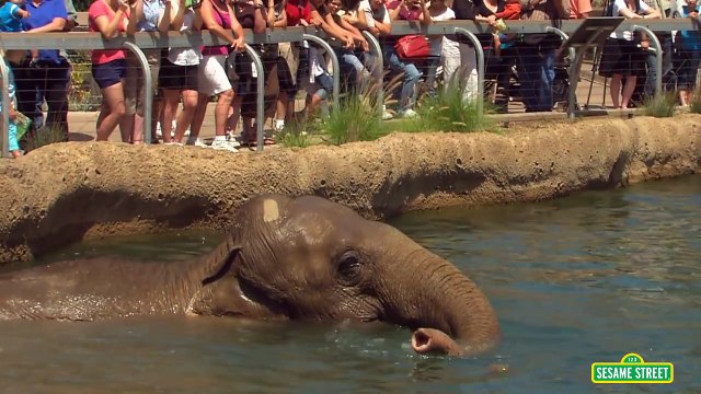 Sesame Street: Elmo Visits the Zoo (Elmo at the Zoo)
