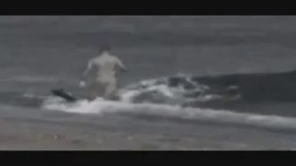 jony no te metas palo hondo