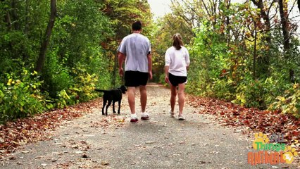 DOGS_ Animals for children. Kids videos. Kindergarten _ Preschool learning  _ Every New