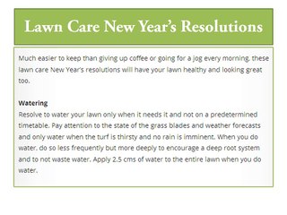 Lawn Care New Year's Resolutions By Daleys Turf Australia