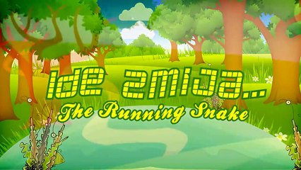 Running Snake SET (Ide Zmija SET)