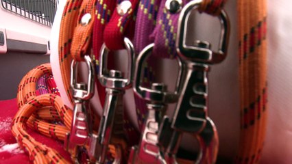 LGO 2016 - Interview Claire Brice-Bonneteau - Zolux