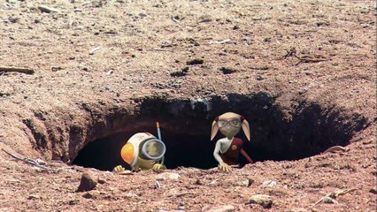 PENGUINS_ Animals for children. Kids videos. Kindergarten _  _ Every New