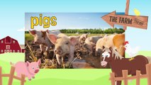 PIGS_ Animals for children. Kids videos. Kindergarten _ Preschool learning  _ Every New