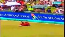 Best Catches in Cricket History! Best Acrobatic Catches! (Please comment the best catch) - YouTube