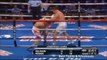 Gennady Golovkin Knockouts Highlights 2016