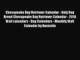 [PDF Download] Chesapeake Bay Retriever Calendar - Only Dog Breed Chesapeake Bay Retriever