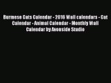 [PDF Download] Burmese Cats Calendar - 2016 Wall calendars - Cat Calendar - Animal Calendar