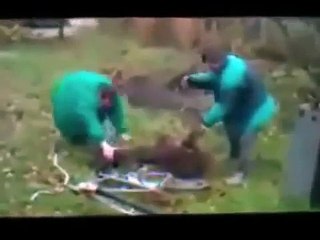 Faze comice  _Mori de ras _)) _Cele mai noi clipuri cu betivi - 2016 HD