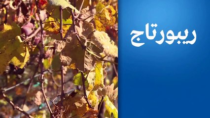 أمريكا.. مدينة سان فرانسيسكو تسعى لتدوير كل نفاياتها بحلول عام 2020!!