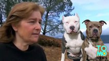 Dog attack- Three pit bulls go after woman and her dog near Whiskeytown, California lake - TomoNews