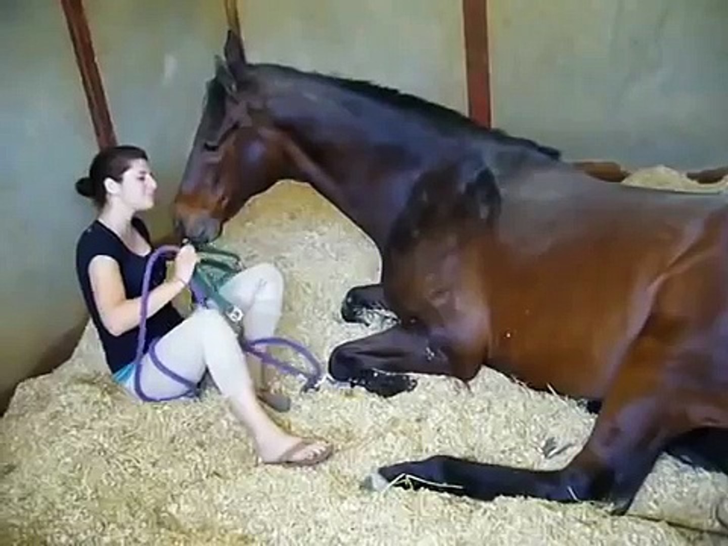 Horse and girl sexy video hd